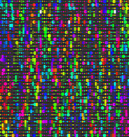 High resolution image of the spam.