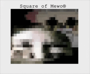 Voidi video player memes.gif