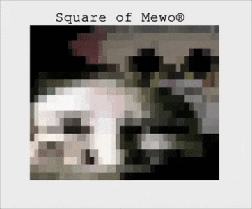 All the frames here are of images that Voidi pasted at Spawn(December 11th, 2025)