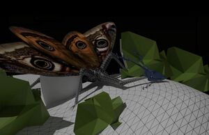 Hexathavi stalking.jpg