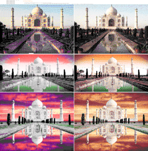 Taj mahal pastes orange.png