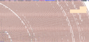 Test server spam prohibit.png