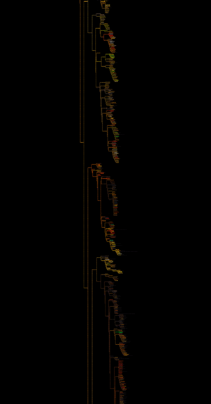 Tree of animals 2.png