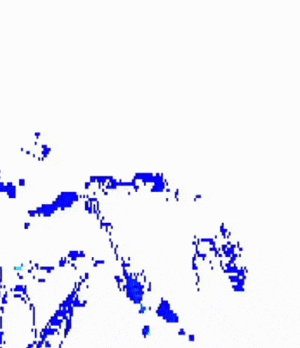 Banksy carrion test 2.gif