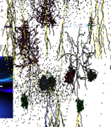 Various particle explosions(December 16th, 2025)