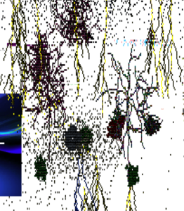 Various particle explosions(December 16th, 2025)