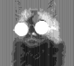 Using vertical fractional blocks (January 15th, 2026)