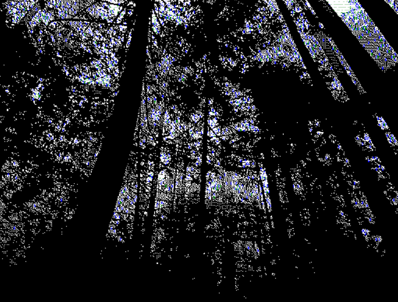 File:Link past forest 2.png