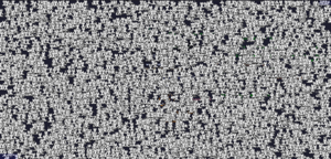 Multiple onekos 3.png