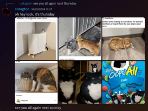 Fern cat posting 2.png