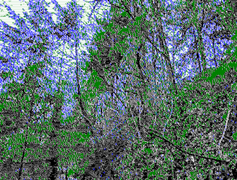 File:Link paste forest.png