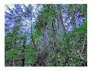 Link paste december 29 2025.png