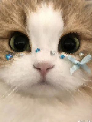 Slc paste november 15 2025 color.webp