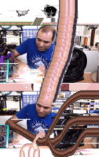 By Rscr(November 22nd, 2025)