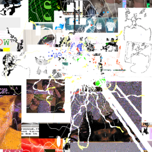 Test january 6 2026.png