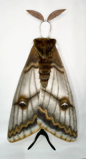 Cathavi inspiration.webp