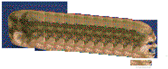 By Rscr (February 7th, 2026)