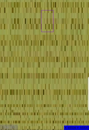 Background image glitch 1.webp