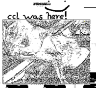 Image paster by CCL(Colors disabled)