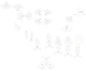 Rscr moth roomba.jpg