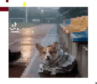 Test 1(August 18th, 2025)