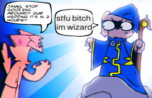 Jamel racoon wizard.png