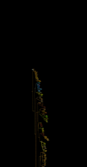 Tree of animals 3.png