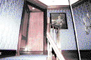 Mr black house 2.png